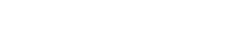 Bringg logo