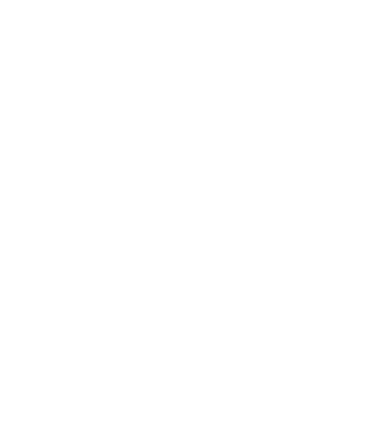UPS logo
